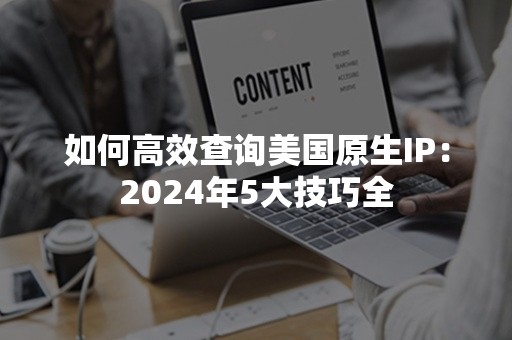 如何高效查询美国原生IP：2024年5大技巧全