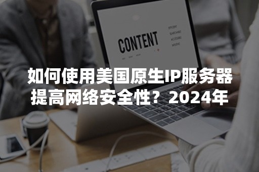 如何使用美国原生IP服务器提高网络安全性？2024年实用攻略