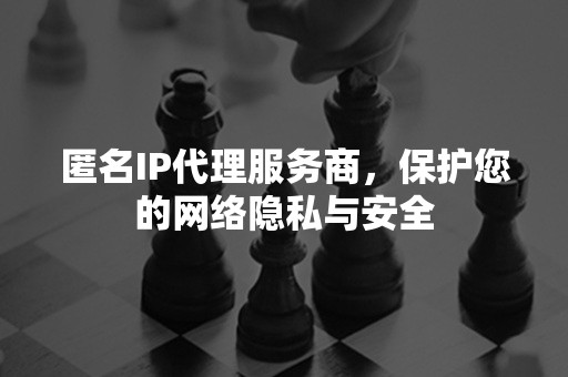 匿名IP代理服务商，保护您的网络隐私与安全