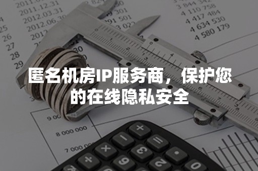 匿名机房IP服务商，保护您的在线隐私安全