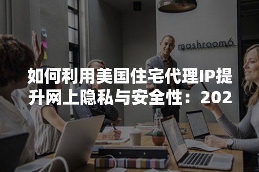 如何利用美国住宅代理IP提升网上隐私与安全性：2024年最新攻略