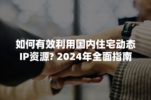 如何有效利用国内住宅动态IP资源? 2024年全面指南