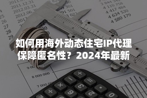 如何用海外动态住宅IP代理保障匿名性？2024年最新技巧解析