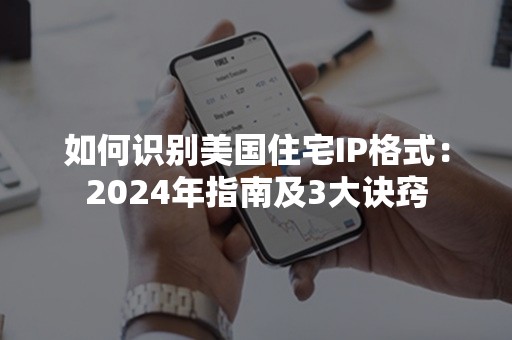 如何识别美国住宅IP格式：2024年指南及3大诀窍