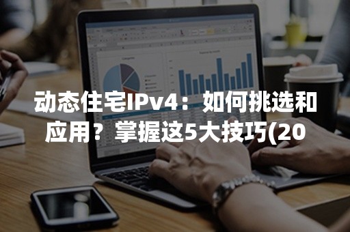 动态住宅IPv4：如何挑选和应用？掌握这5大技巧(2024最新指南)