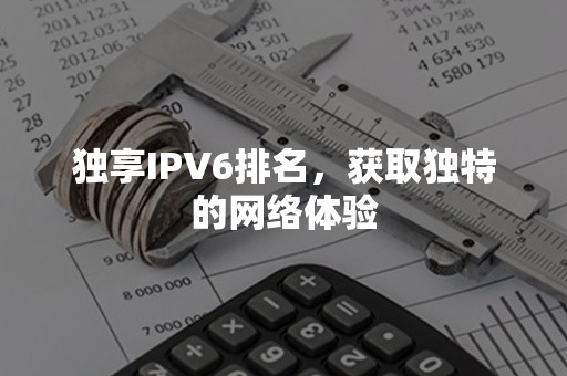 独享IPV6排名，获取独特的网络体验