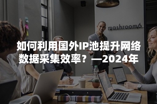 如何利用国外IP池提升网络数据采集效率？—2024年实用指南