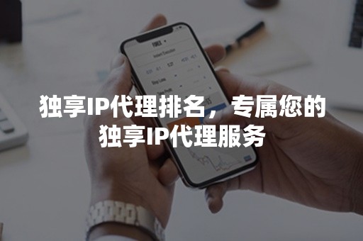 独享IP代理排名，专属您的独享IP代理服务