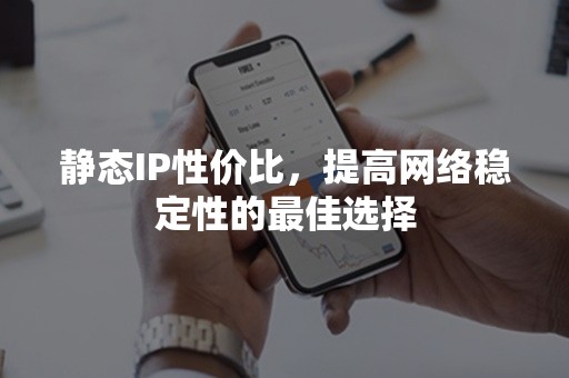 静态IP性价比，提高网络稳定性的最佳选择