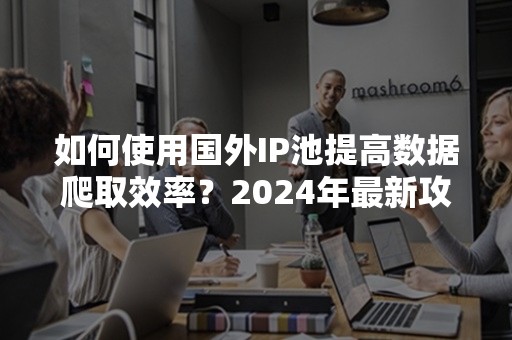 如何使用国外IP池提高数据爬取效率？2024年最新攻略