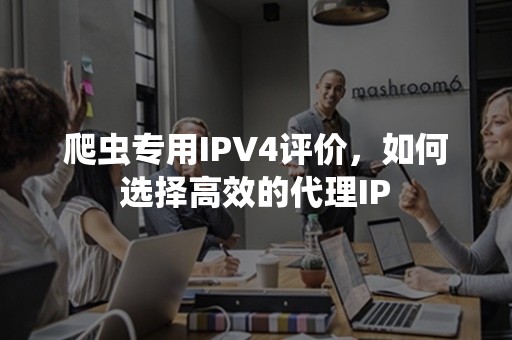 爬虫专用IPV4评价，如何选择高效的代理IP