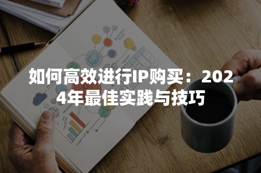 如何高效进行IP购买：2024年最佳实践与技巧