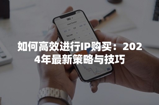 如何高效进行IP购买：2024年最新策略与技巧