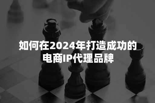 如何在2024年打造成功的电商IP代理品牌