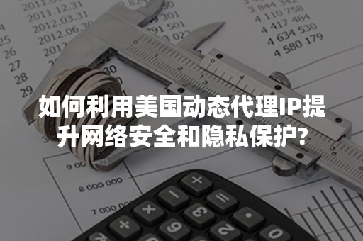 如何利用美国动态代理IP提升网络安全和隐私保护?