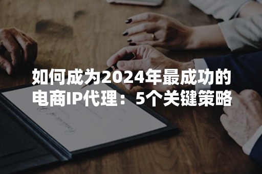 如何成为2024年最成功的电商IP代理：5个关键策略