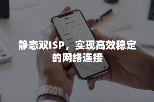 静态双ISP，实现高效稳定的网络连接