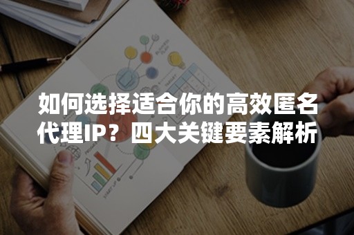 如何选择适合你的高效匿名代理IP？四大关键要素解析