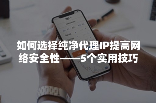 如何选择纯净代理IP提高网络安全性——5个实用技巧