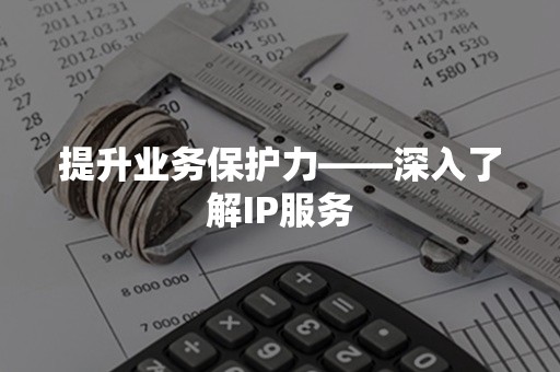 提升业务保护力——深入了解IP服务