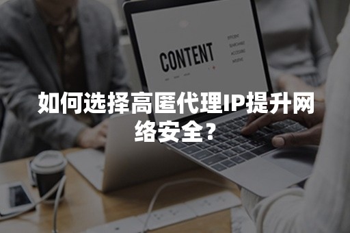 如何选择高匿代理IP提升网络安全？