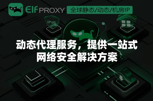 动态代理服务，提供一站式网络安全解决方案