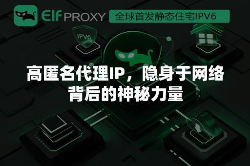 高匿名代理IP，隐身于网络背后的神秘力量