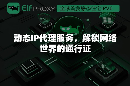 动态IP代理服务，解锁网络世界的通行证