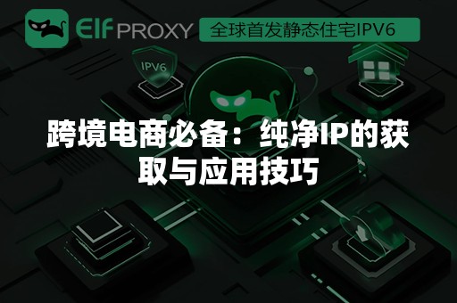 跨境电商必备：纯净IP的获取与应用技巧