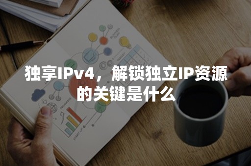 独享IPv4，解锁独立IP资源的关键是什么