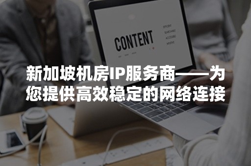 新加坡机房IP服务商——为您提供高效稳定的网络连接