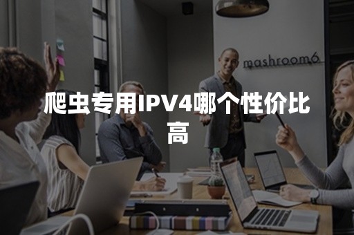 爬虫专用IPV4哪个性价比高