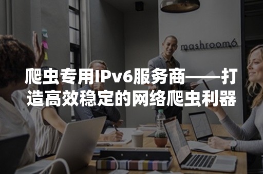 爬虫专用IPv6服务商——打造高效稳定的网络爬虫利器