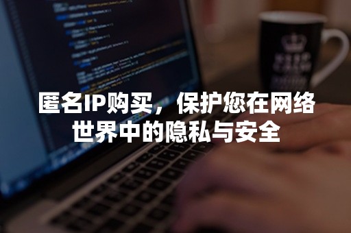 匿名IP购买，保护您在网络世界中的隐私与安全