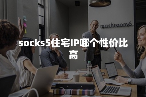 socks5住宅IP哪个性价比高