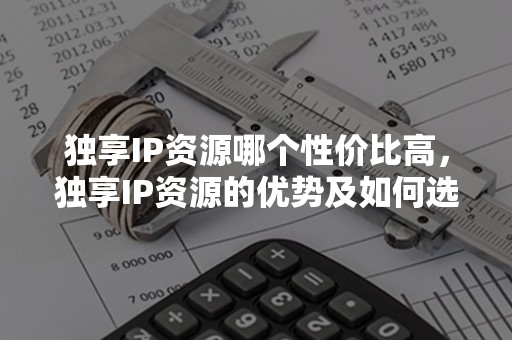 独享IP资源哪个性价比高，独享IP资源的优势及如何选择