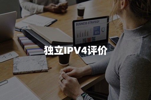 独立IPV4评价