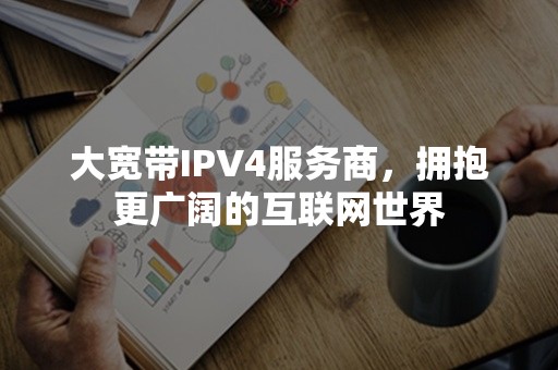 大宽带IPV4服务商，拥抱更广阔的互联网世界