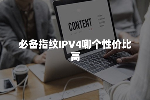 必备指纹IPV4哪个性价比高