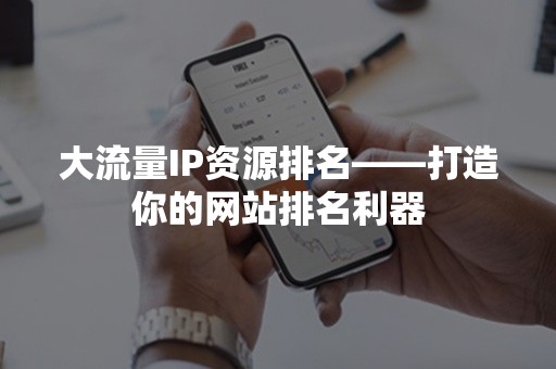 大流量IP资源排名——打造你的网站排名利器