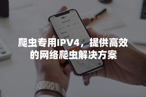 爬虫专用IPV4，提供高效的网络爬虫解决方案