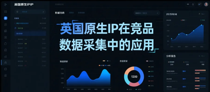 英国原生IP在竞品数据采集中的应用.png