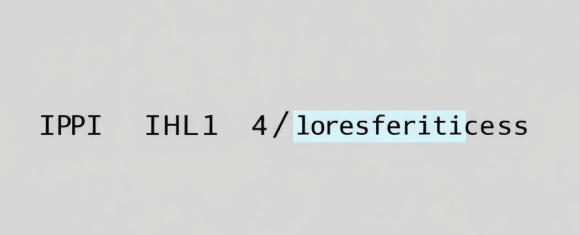 版本、IHL 和差异化服务.png