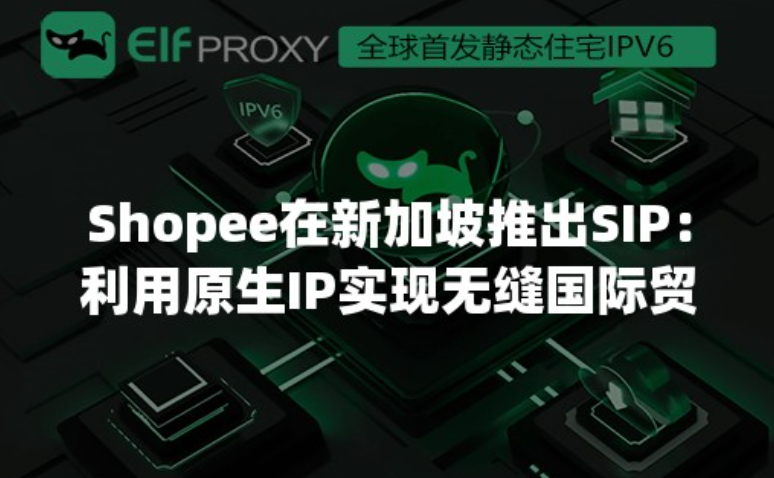新加坡原生IP.png