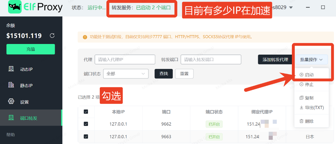 IP加速器启动.png